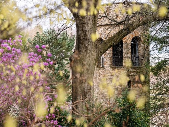A tall tree in early spring set in front of a stone tower. 